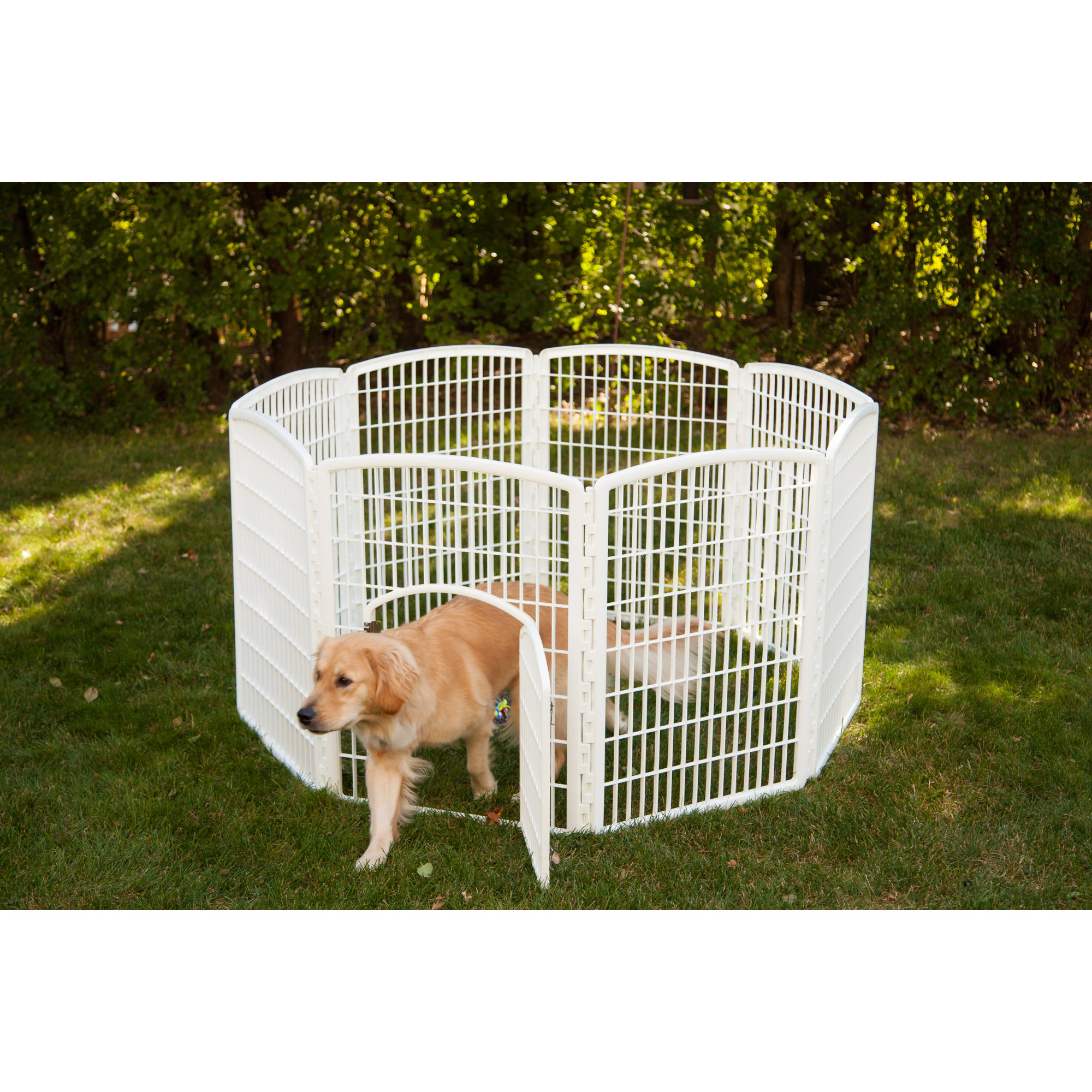 IRIS 34" Indoor/Outdoor Plastic Pet Pen & Reviews Wayfair